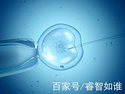 有偿试管代妈机构